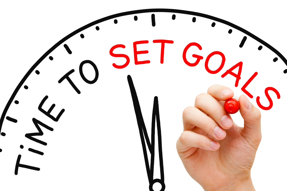 establish goals